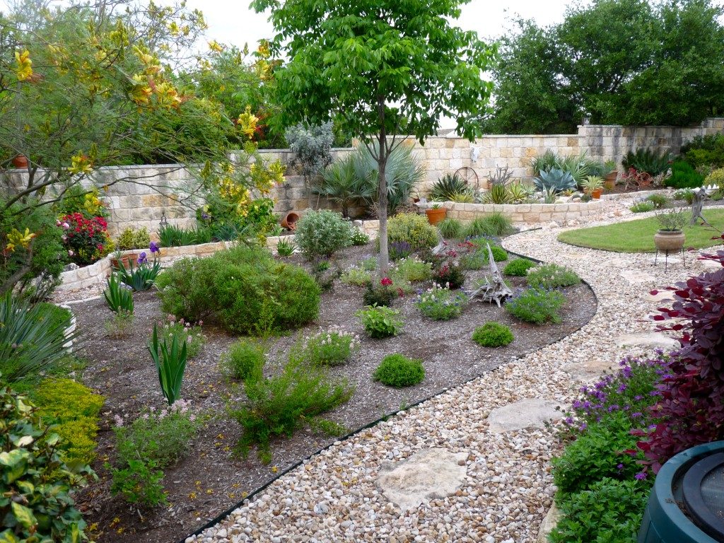 springplants