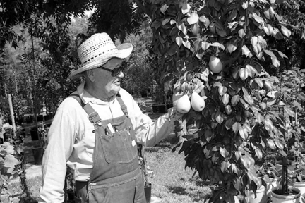 Fanick with Fanick Pears
